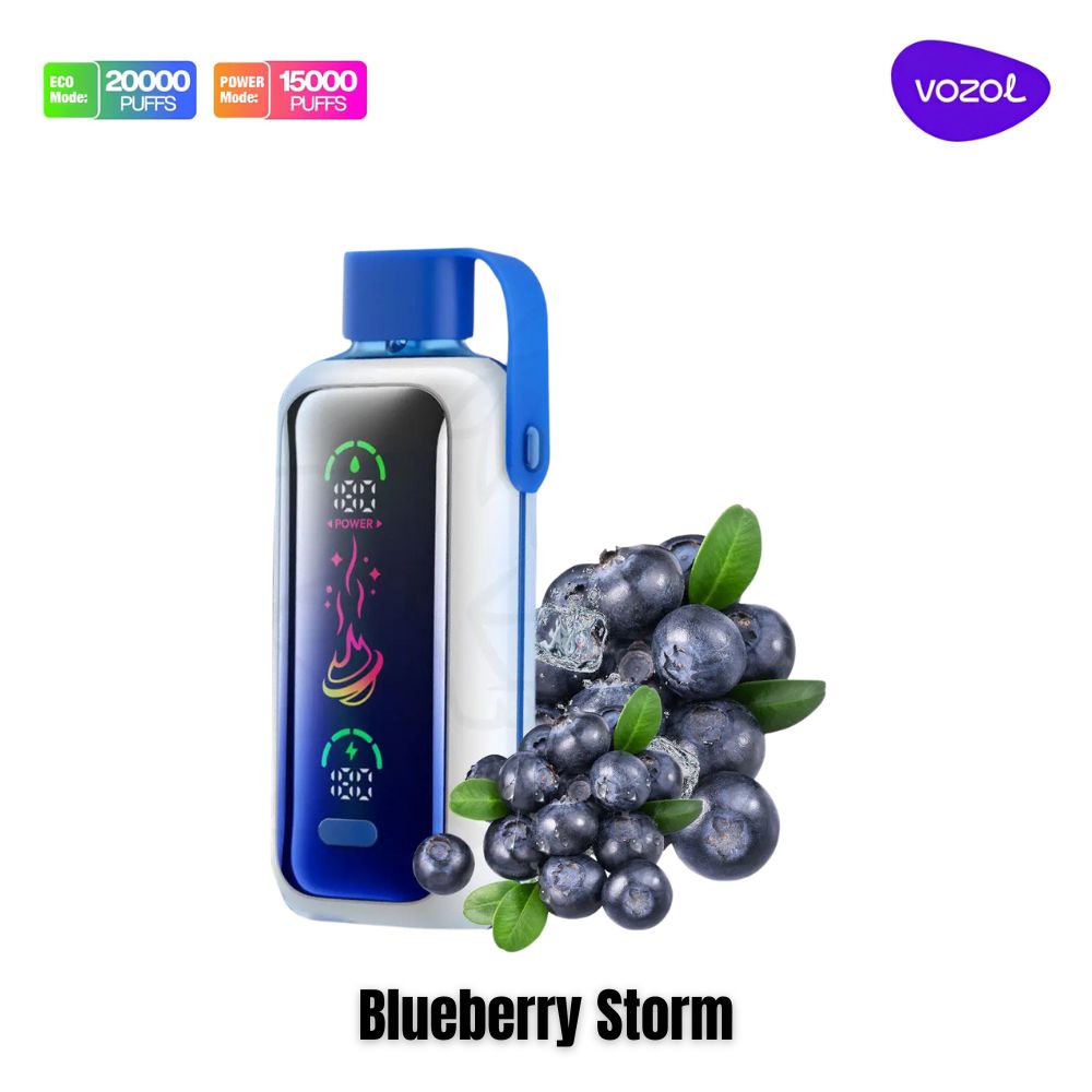 Vozol Star 20000 Puffs Blueberry Storm Dual Mode Disposable Vape