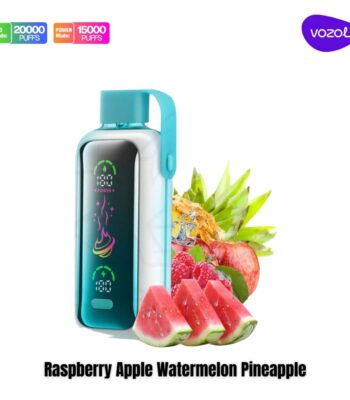 Vozol Star 20000 Puffs Raspberry Apple Watermelon Pineapple Dual Mode Disposable Vape
